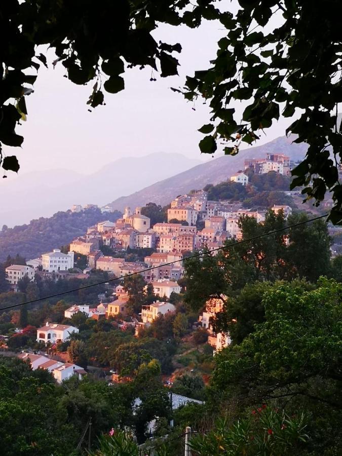 Villa Milanu Oletta  Εξωτερικό φωτογραφία