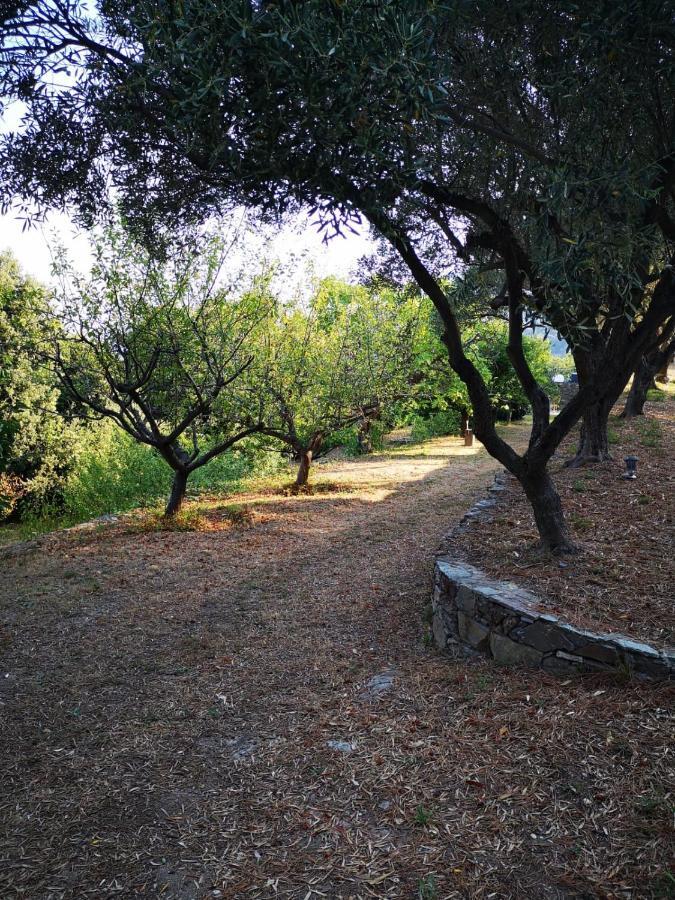 Villa Milanu Oletta  Εξωτερικό φωτογραφία